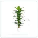 شجر صناعي سطل ابيض